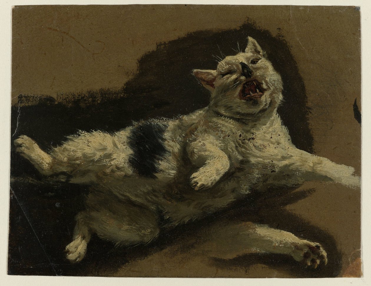 Kočka ležící na zádech a uvolněná tlapka od Adriaen van de Velde (attributed to)