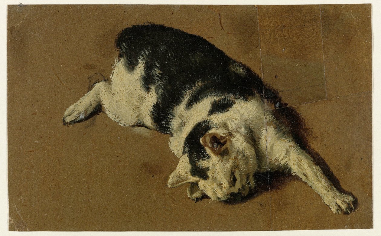 Kočka leží na boku, levá přední noha natažená od Adriaen van de Velde (attributed to)