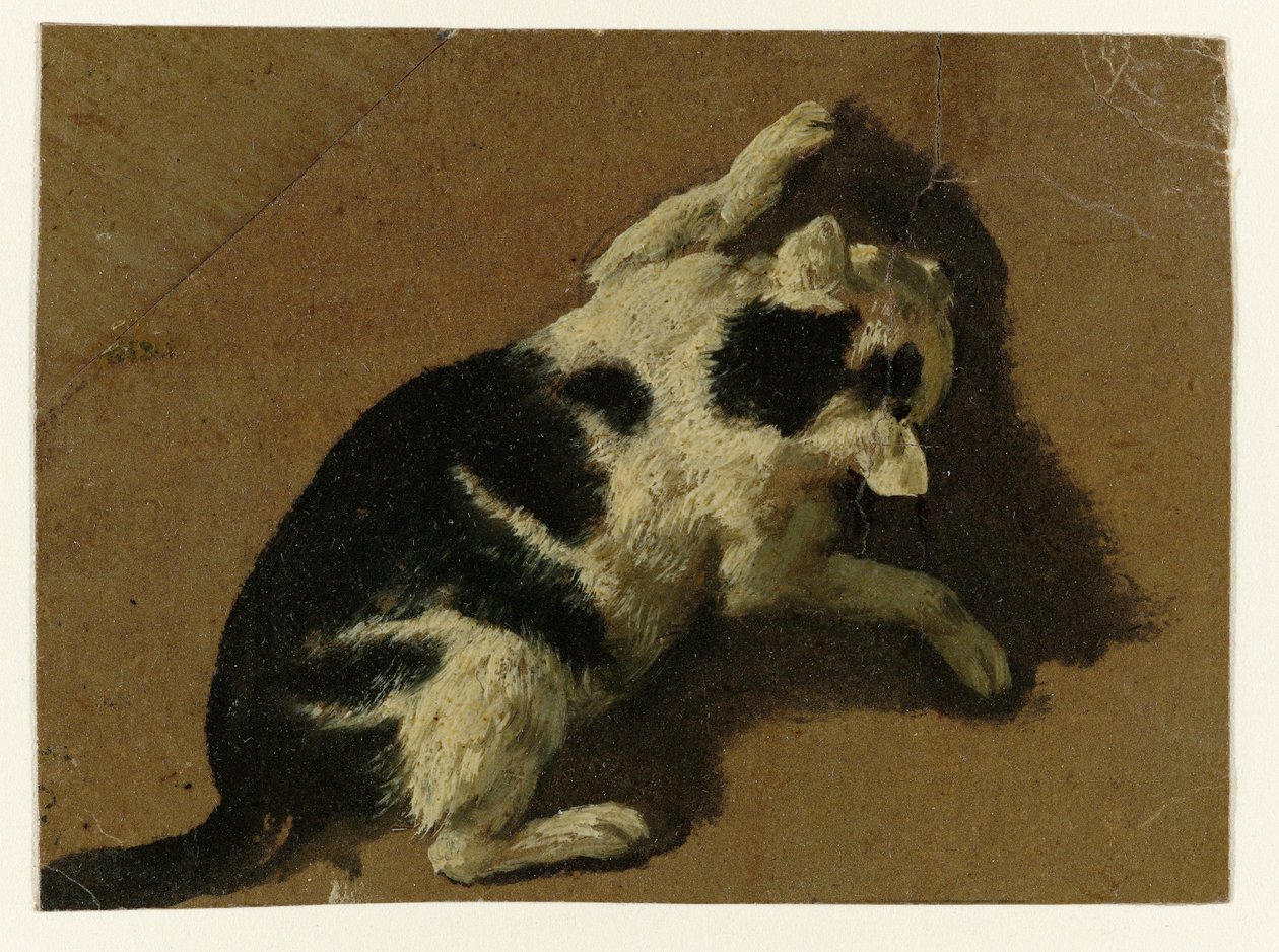 Kočka hraje u zdi od Adriaen van de Velde (attributed to)