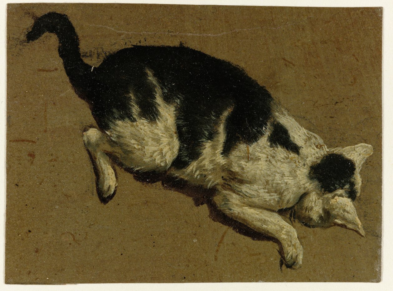 Kočka při pohledu dolů z plošiny od Adriaen van de Velde (attributed to)
