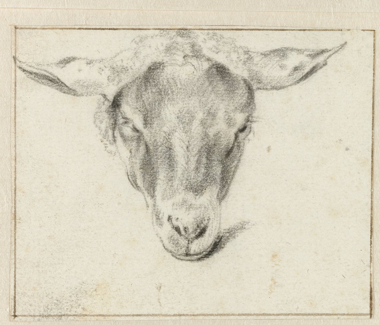 Ovčí hlava, zepředu od Adriaen van de Velde (attributed to)
