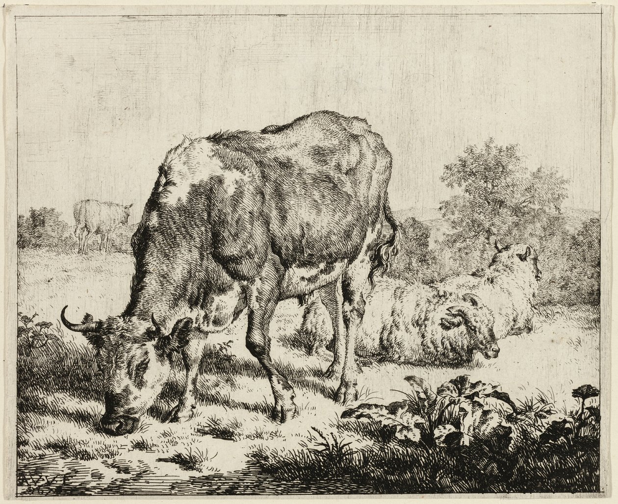 Kráva a tři ovce od Adriaen van de Velde
