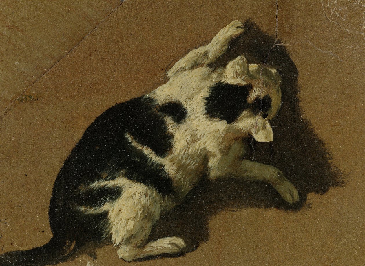 Kočka si hraje (kresba štětcem) od Adriaen van de Velde