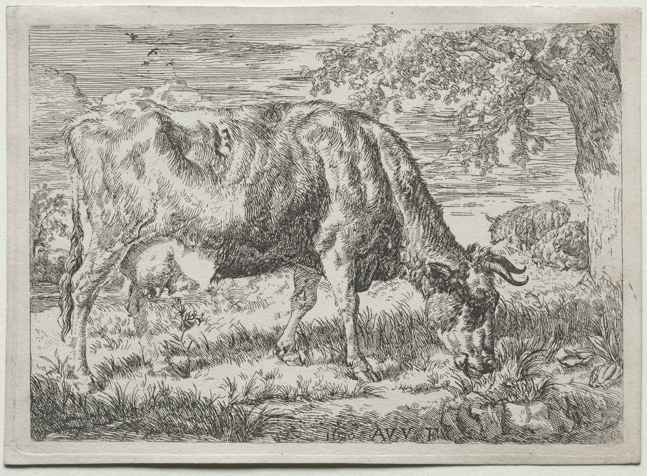 Kráva a dvě ovce u paty stromu, 1670. od Adriaen van de Velde