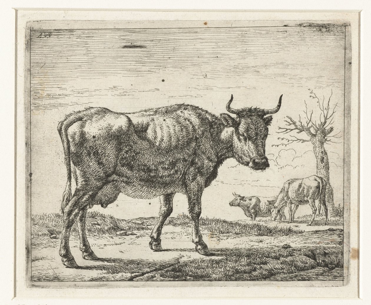Tři krávy Různá zvířata (název série) od Adriaen van de Velde