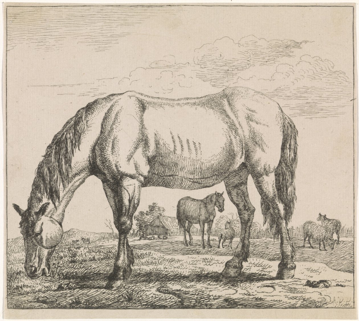pasoucího se koně Hospodářská zvířata (název seriálu) od Adriaen van de Velde