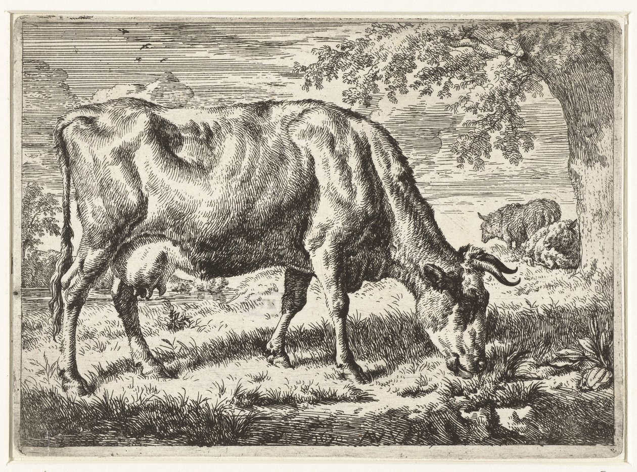 Pasoucí se kráva a dvě ovce Krávy a ovce (název série) od Adriaen van de Velde