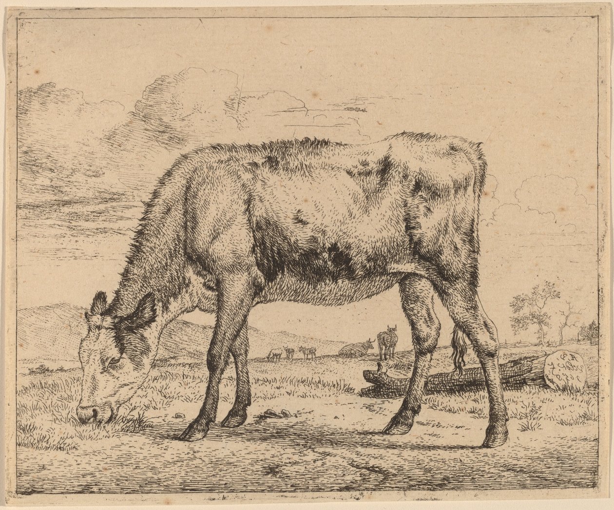 Pasoucí se tele od Adriaen van de Velde