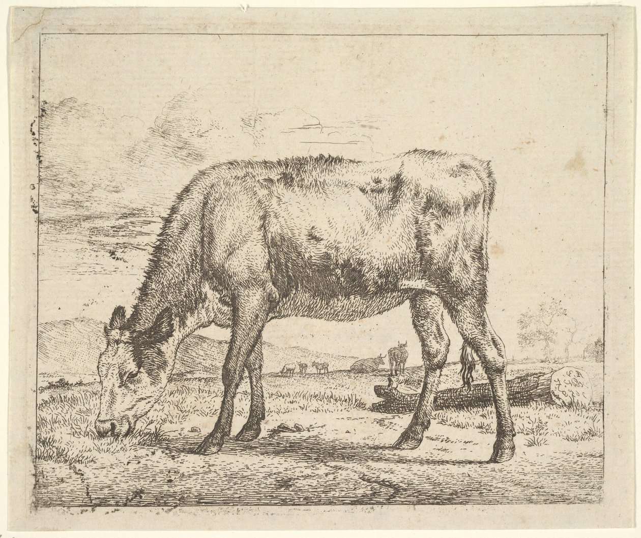 Pasoucí se tele, z různých zvířat, 1658. od Adriaen van de Velde
