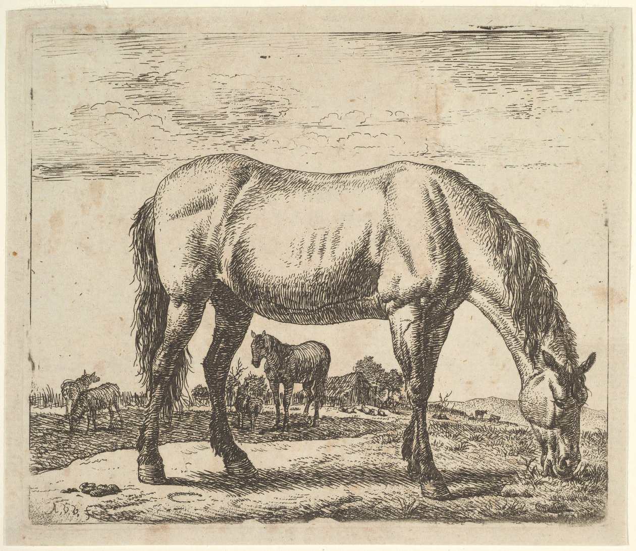 Pasoucí se kůň, z různých zvířat. od Adriaen van de Velde