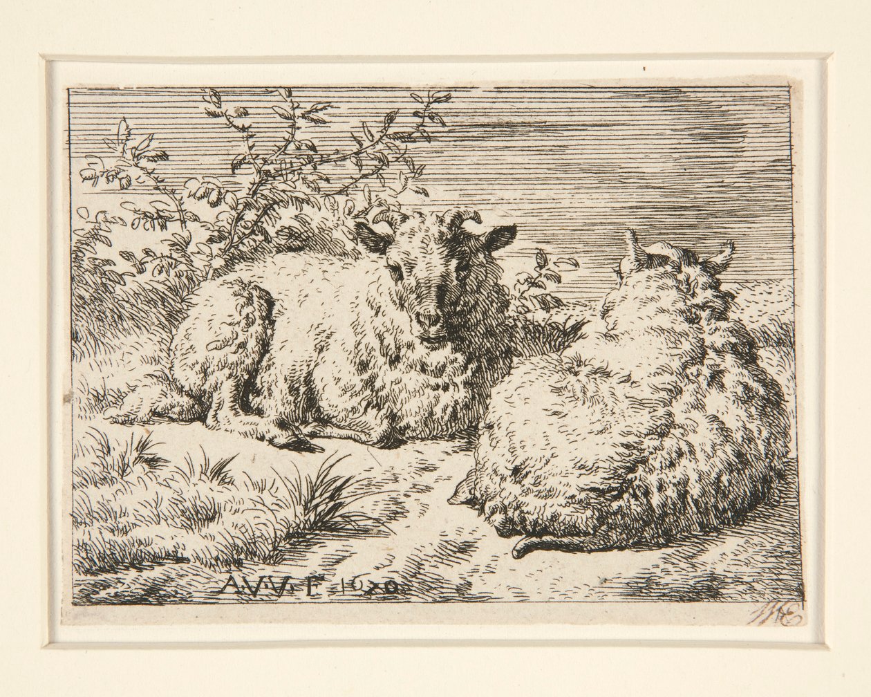 Dvě ovce od Adriaen van de Velde