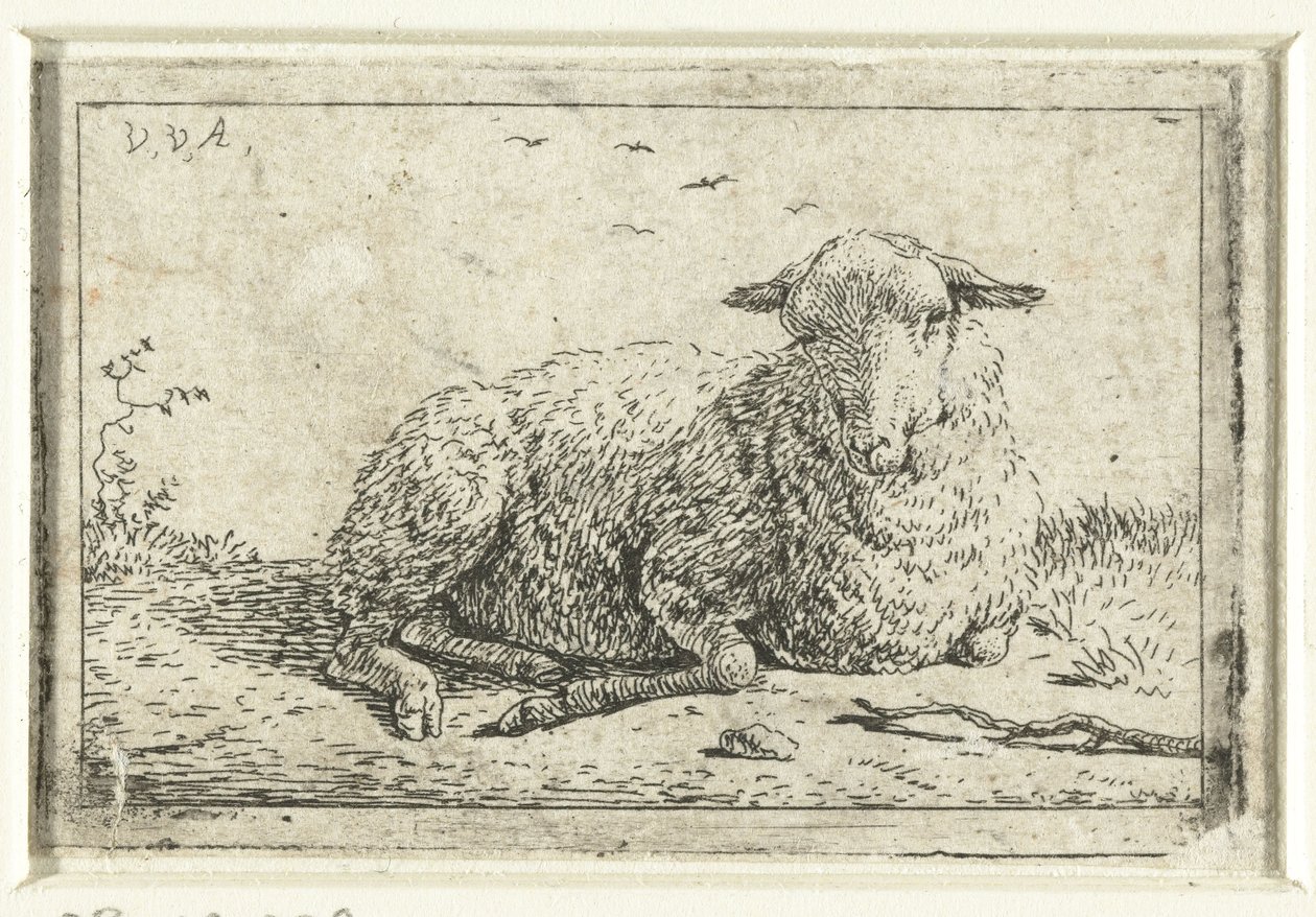 ležící ovce od Adriaen van de Velde