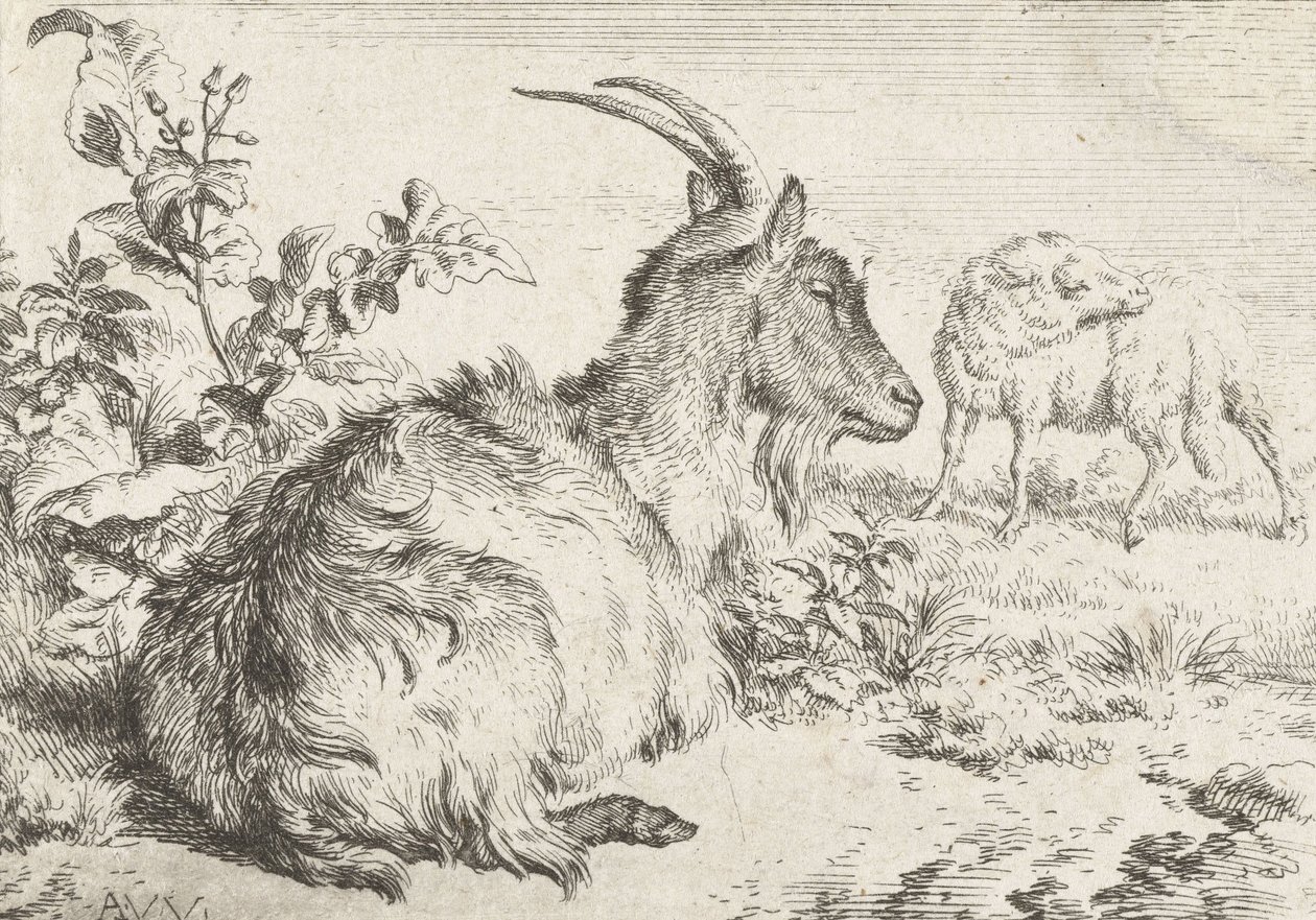 Ležící koza, 1670 od Adriaen van de Velde
