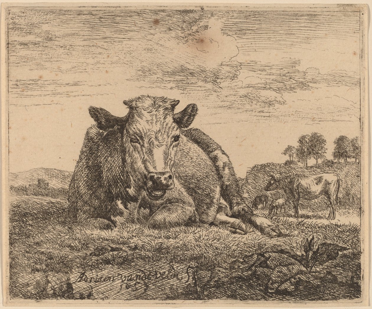 Ležící kráva od Adriaen van de Velde