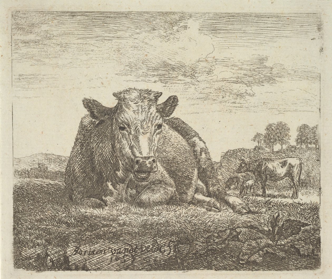 Ležící kráva, z různých zvířat, 1657. od Adriaen van de Velde
