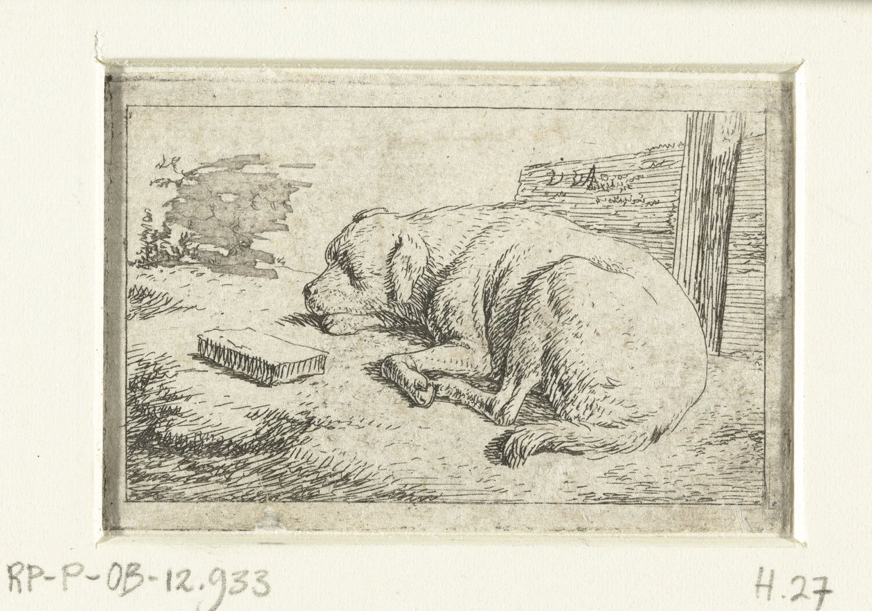 spící pes od Adriaen van de Velde
