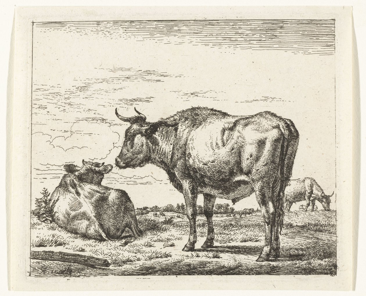stojící býk Různá zvířata (název série) od Adriaen van de Velde