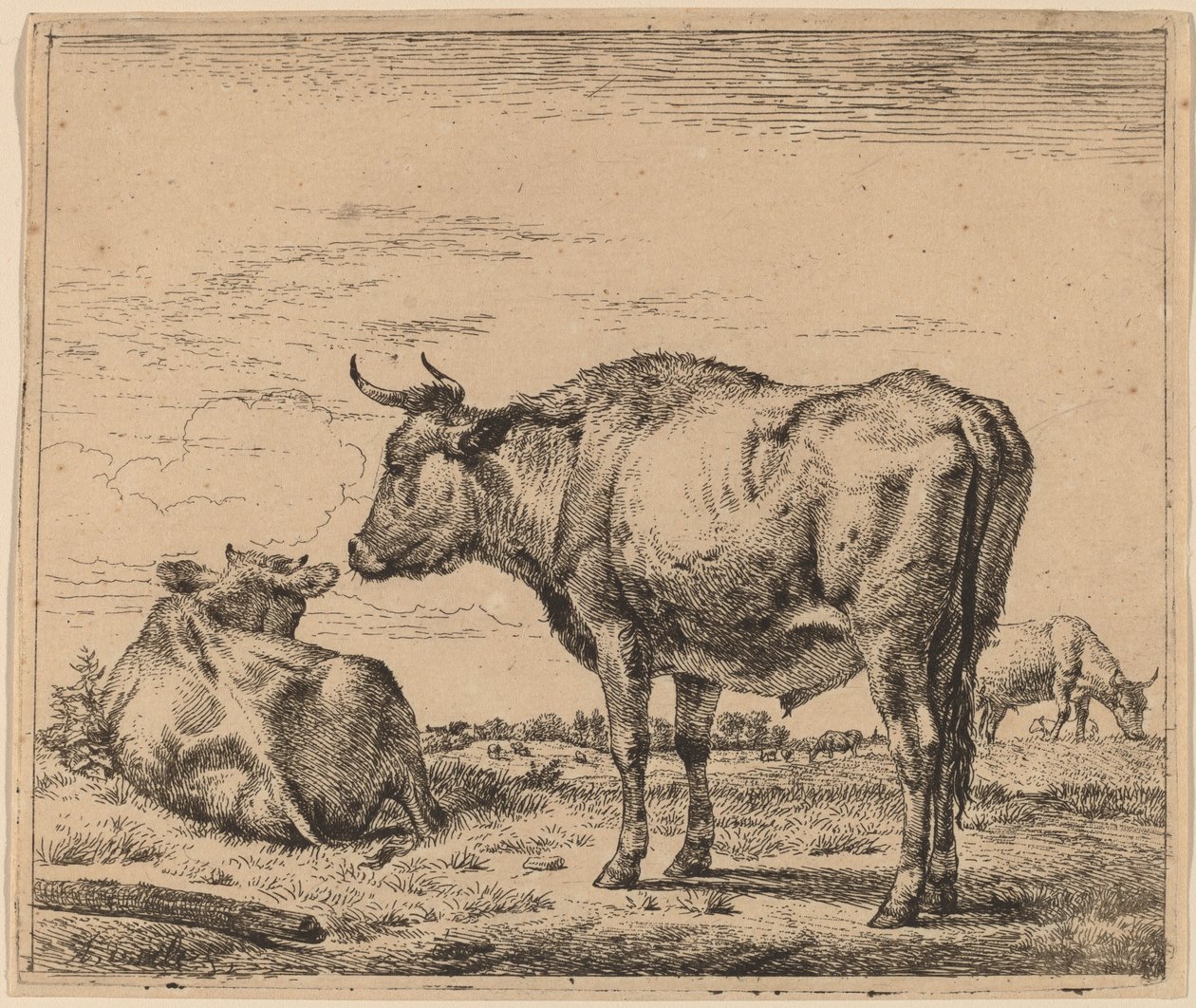 Stojící býk od Adriaen van de Velde