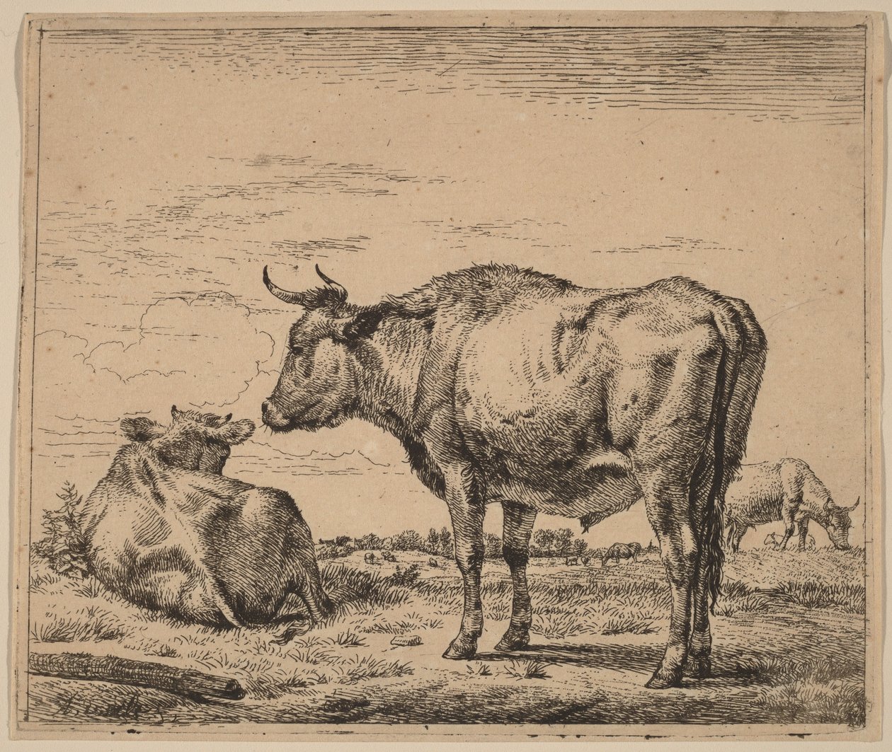 Stojící býk od Adriaen van de Velde
