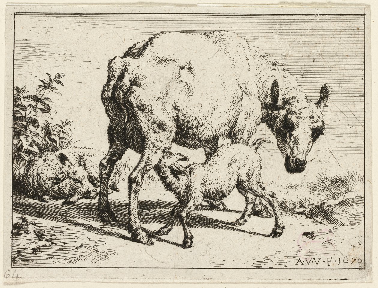 Beránek od Adriaen van de Velde