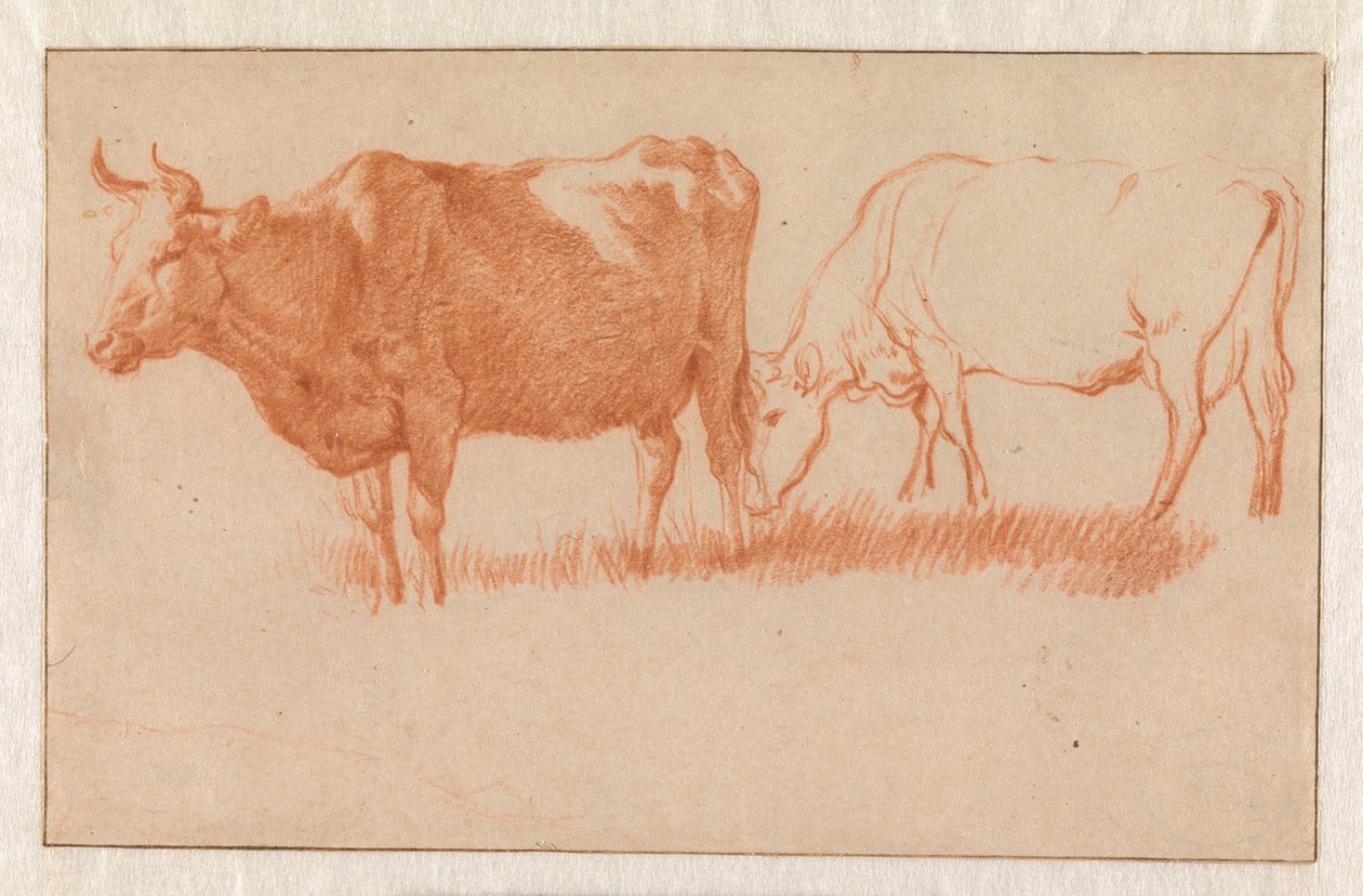 Dvě krávy od Adriaen van de Velde