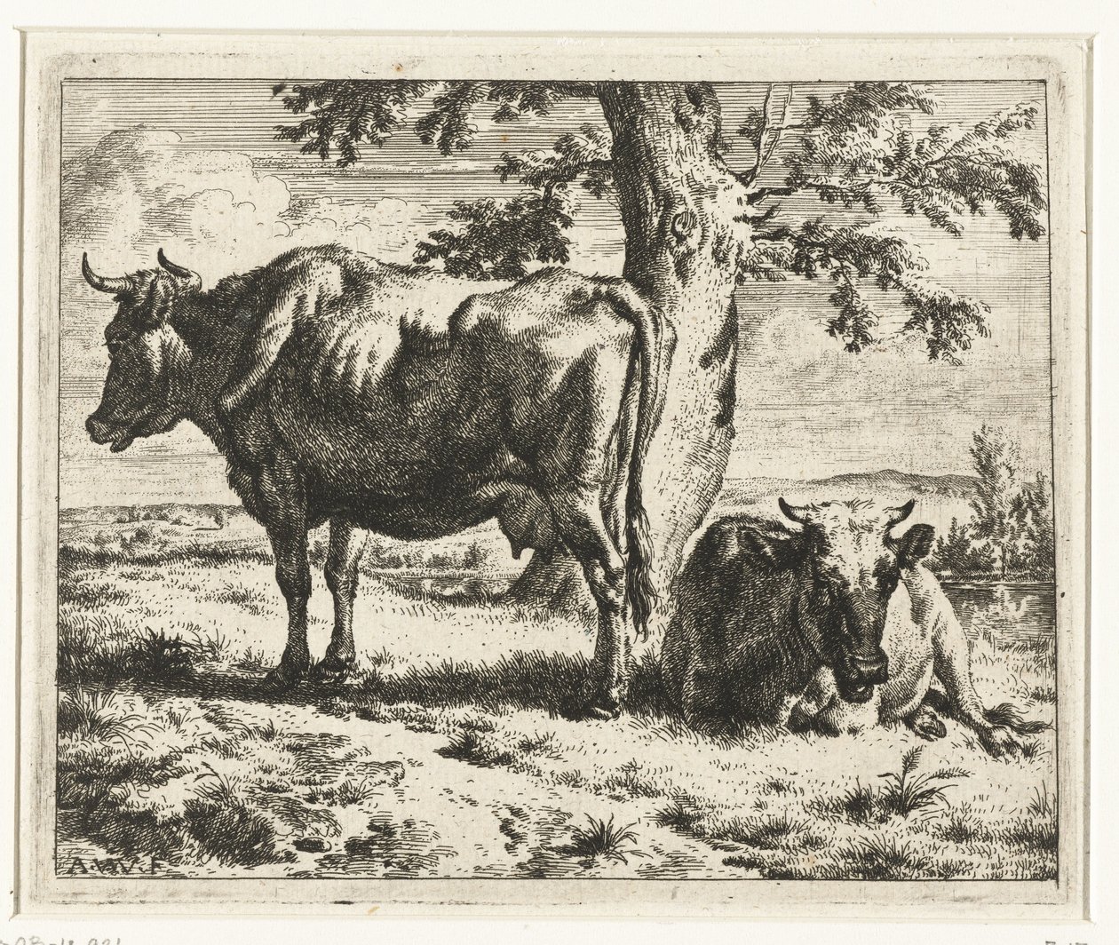 Dvě krávy pod stromem Krávy a ovce (název série) od Adriaen van de Velde