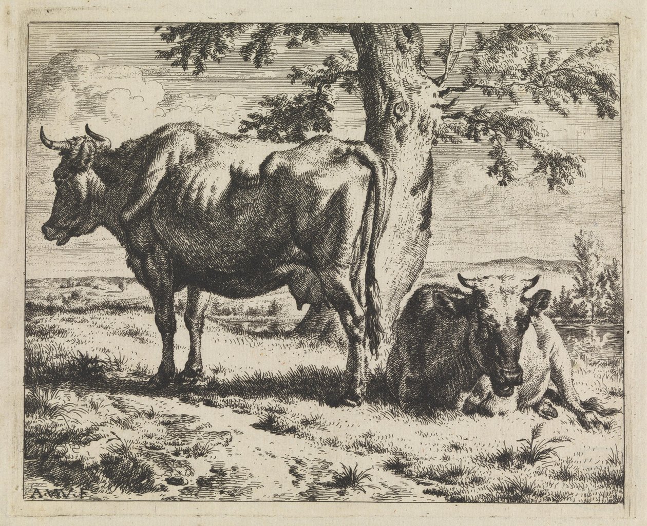 Dvě krávy pod stromem od Adriaen van de Velde