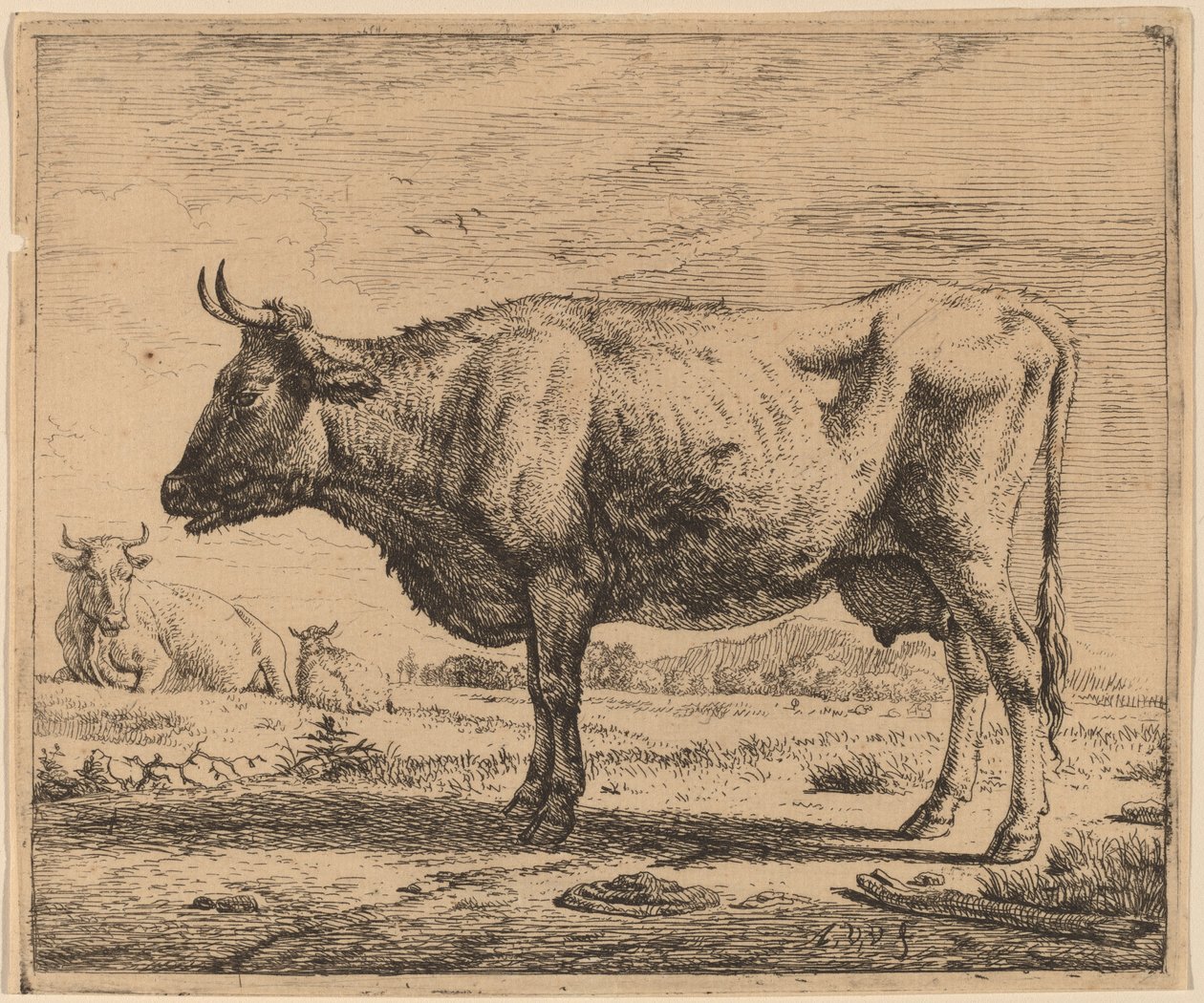 Dvě krávy a ovce od Adriaen van de Velde