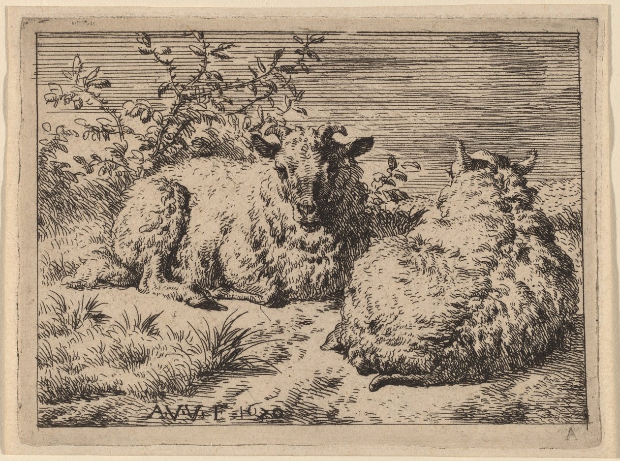Dvě ležící ovce od Adriaen van de Velde