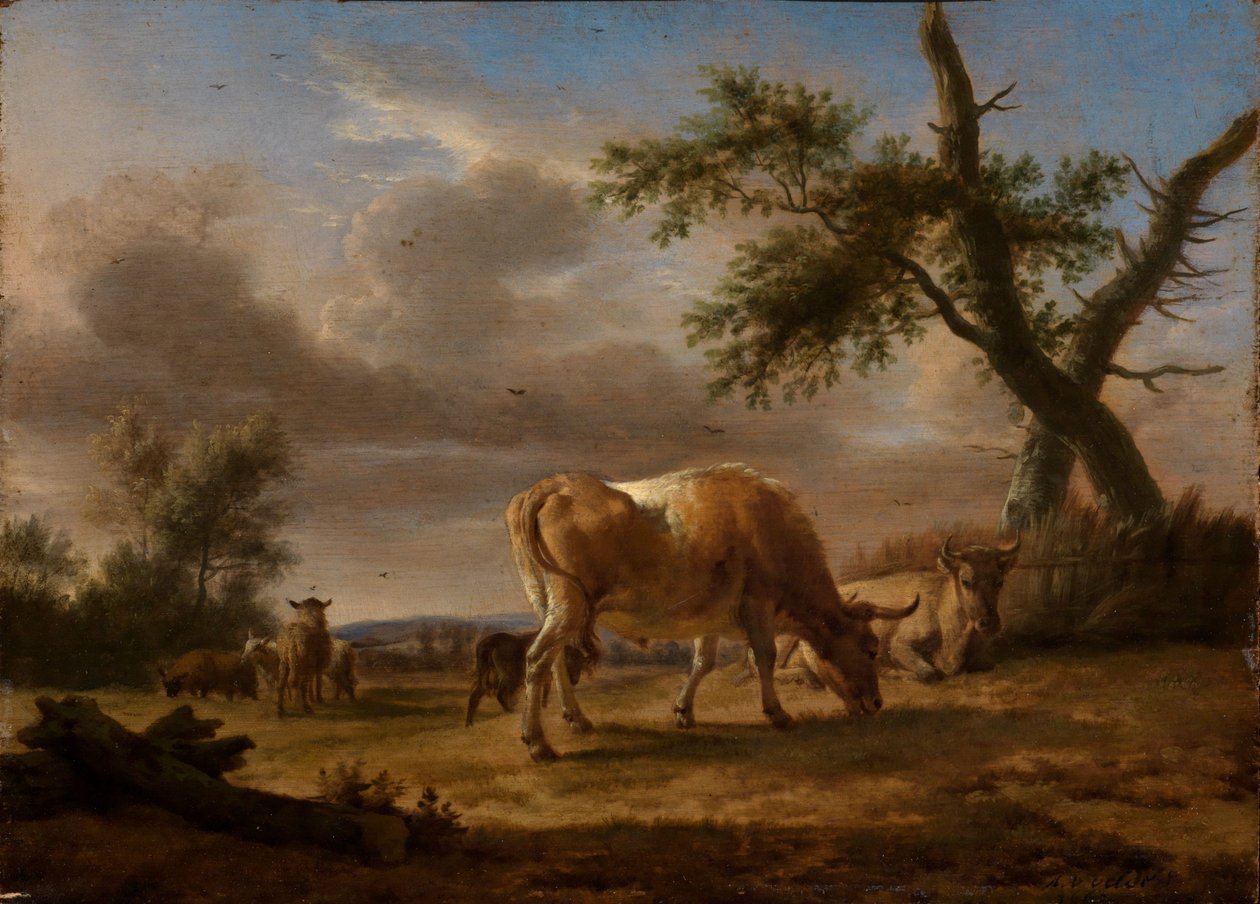 Pasoucí se skot a ovce od Adriaen van de Velde