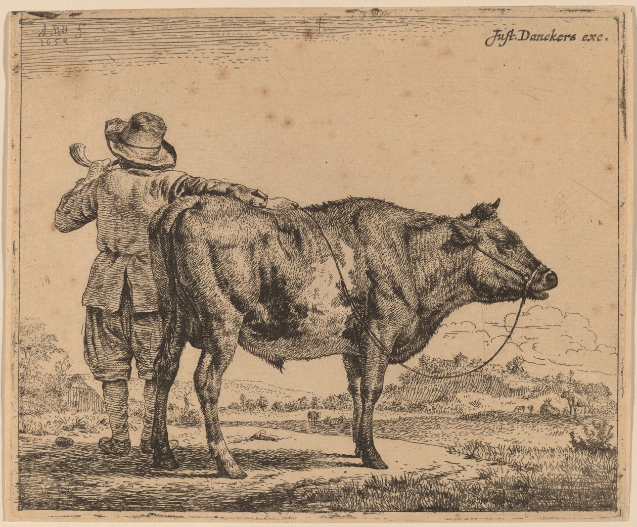 Mladý pastevec s býkem od Adriaen van de Velde