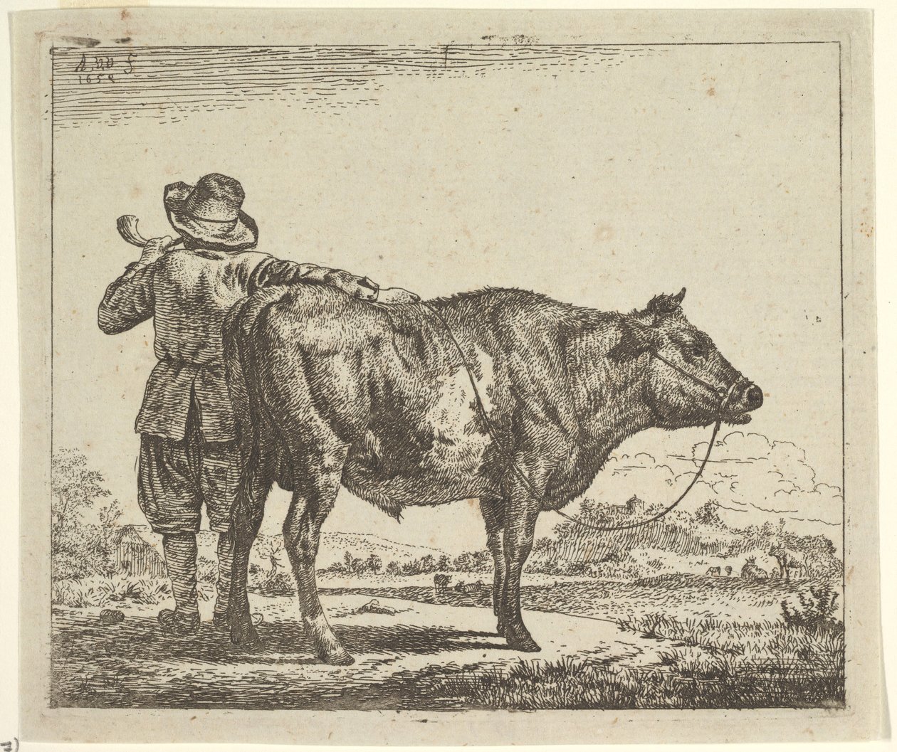 Mladý pastevec s býkem, z různých zvířat, 1659. od Adriaen van de Velde