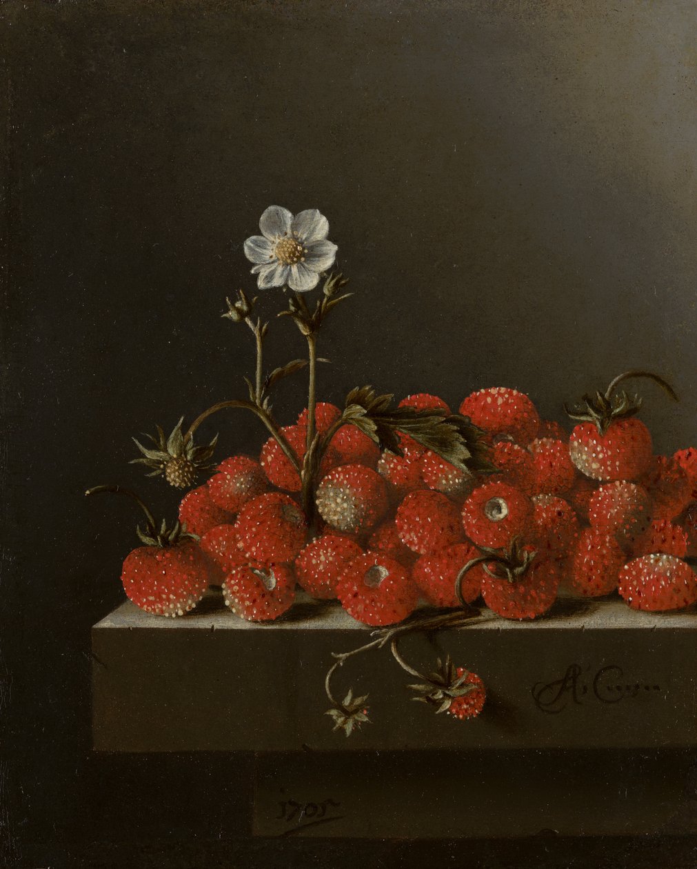 Zátiší s lesními jahodami, 1705 (olej na papíře na desce) od Adrian Coorte
