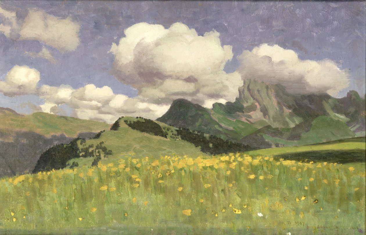 Pole měsíčků, Dolní Alpy, 1902 od Adrian Scott Stokes