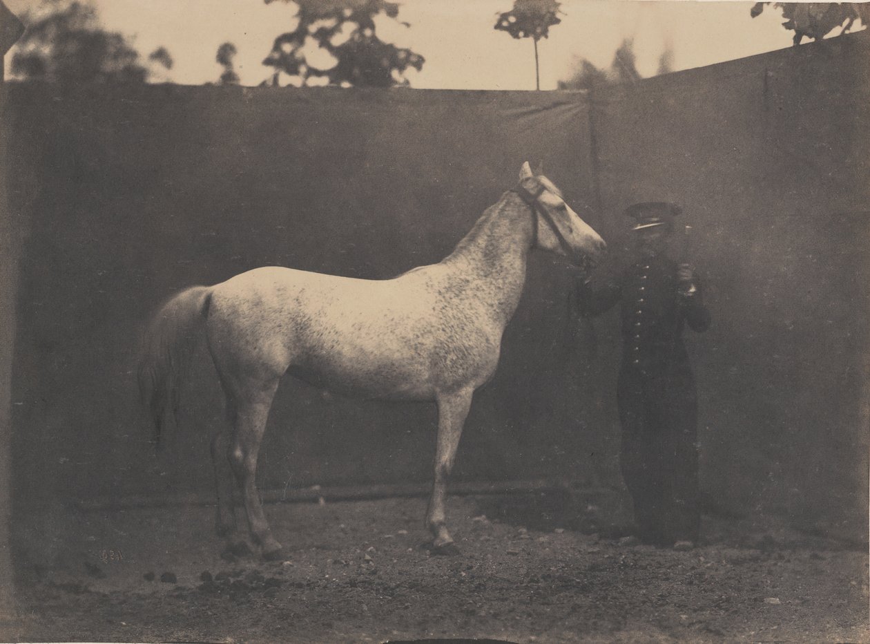 Pascaline, ca. 1855-60. od Adrien Alban Tournachon