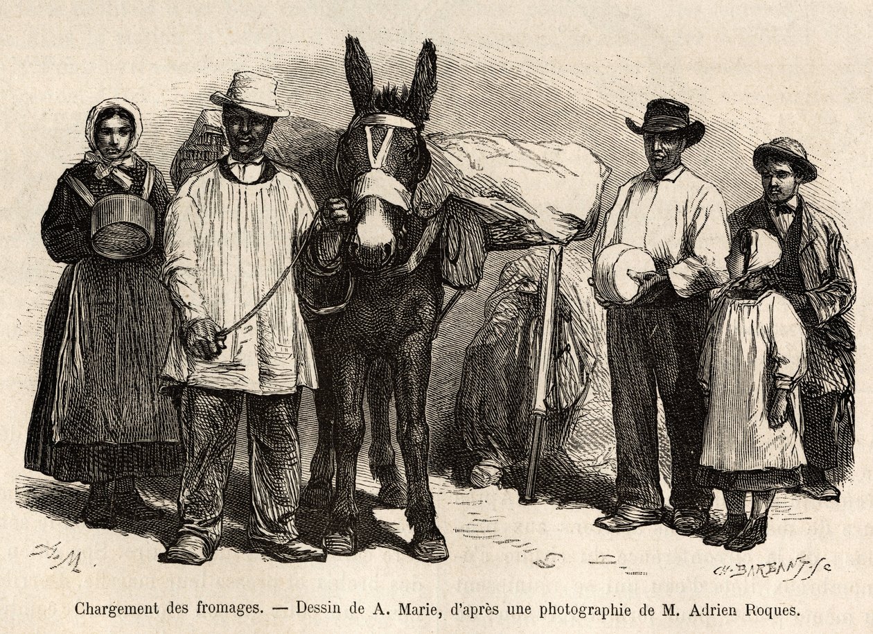 Nakládání sýrů na hřbet muly směrem ke sklepům Roquefortu, rytina podle kresby A. Marie, ilustrující cestu do Roquefortu a jeho okolí, od Adriena Roquese a Julese Chartona, v roce 1874, publikovaná v „“ Le tour du monde””” od Adrien Emmanuel Marie