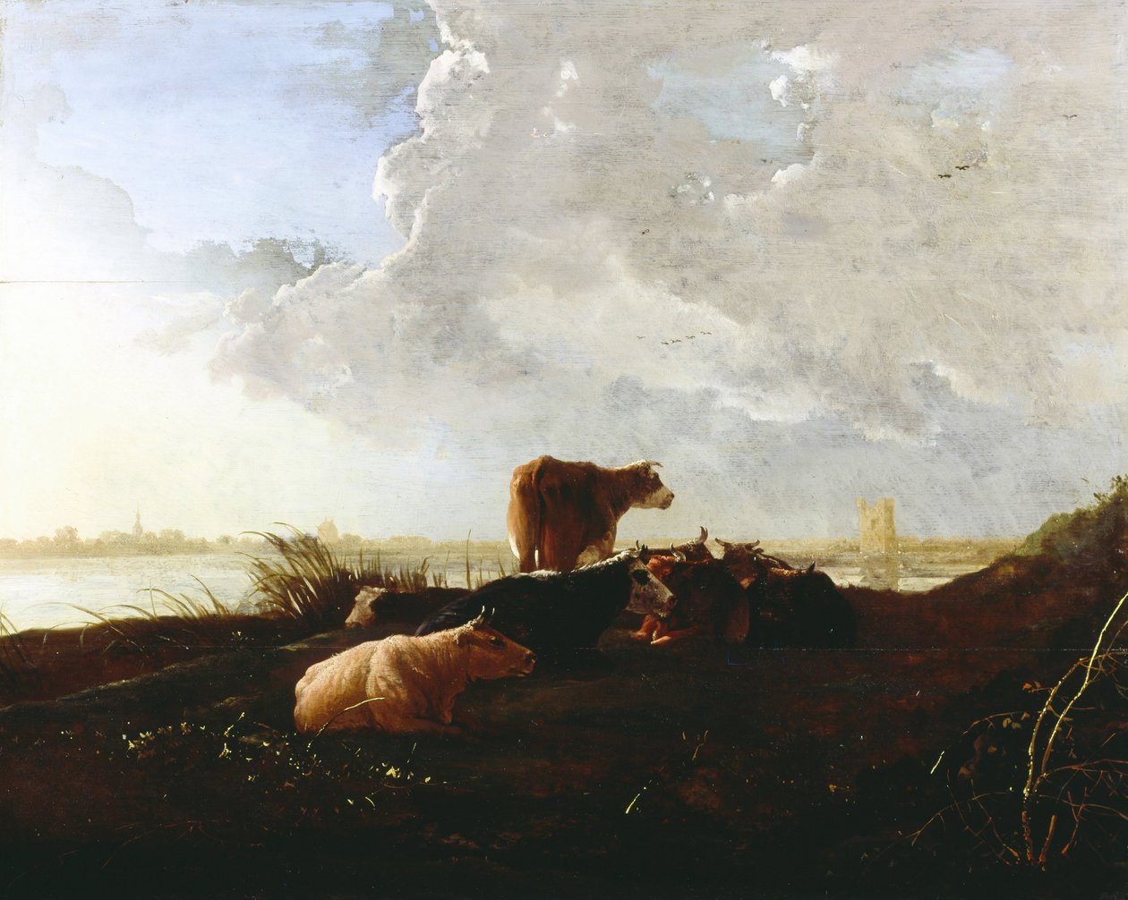 Skot poblíž řeky od Aelbert Cuyp