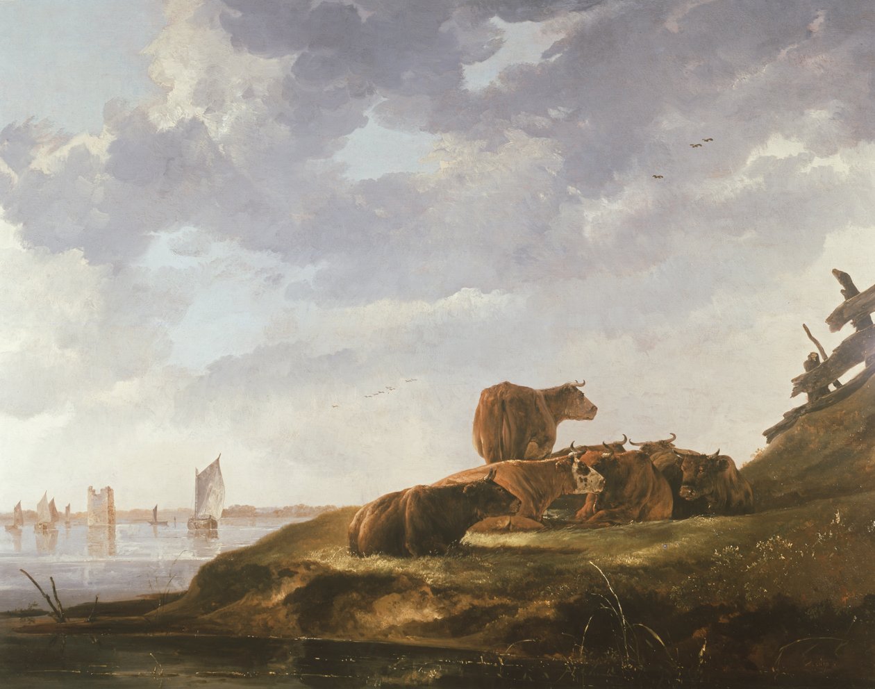 Sedm krav od Aelbert Cuyp