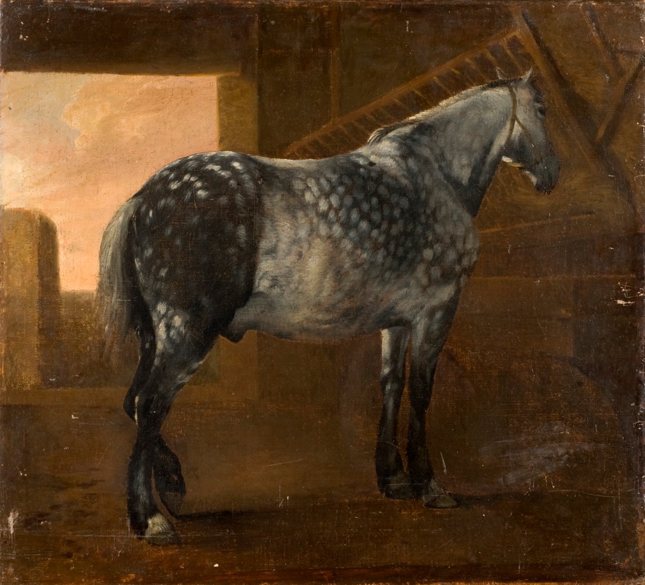 Šedý kůň od Aelbert Cuyp