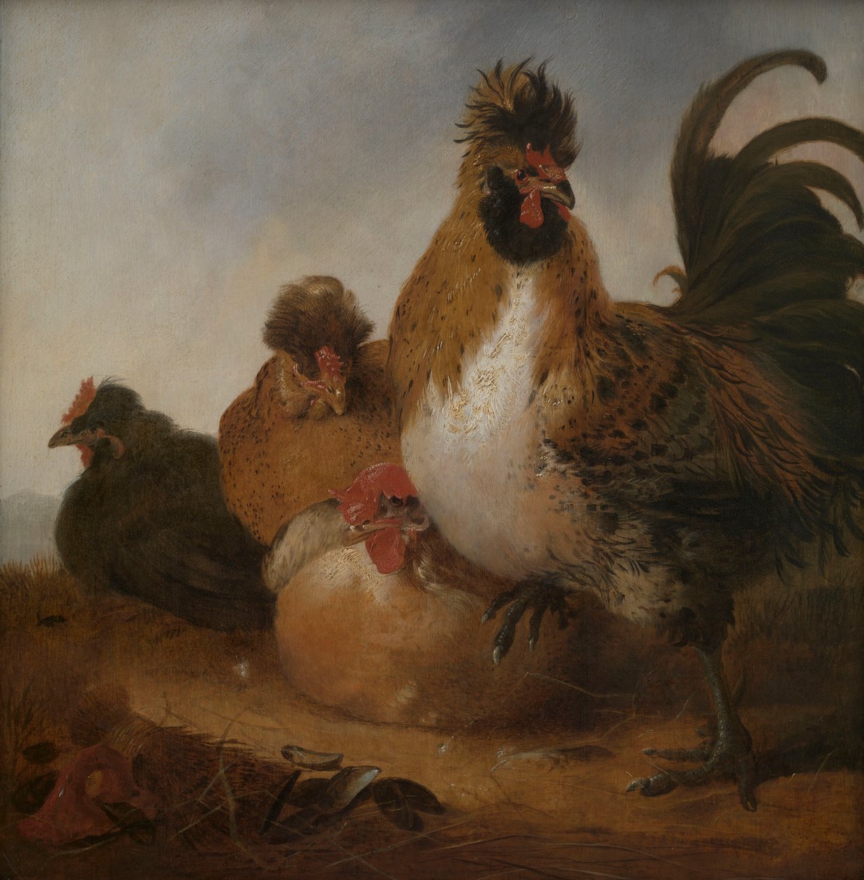 Kohout a slepice od Aelbert Cuyp