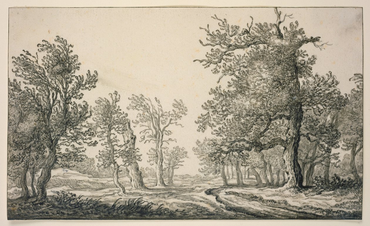 Cesta dubovým lesem od Aelbert Cuyp