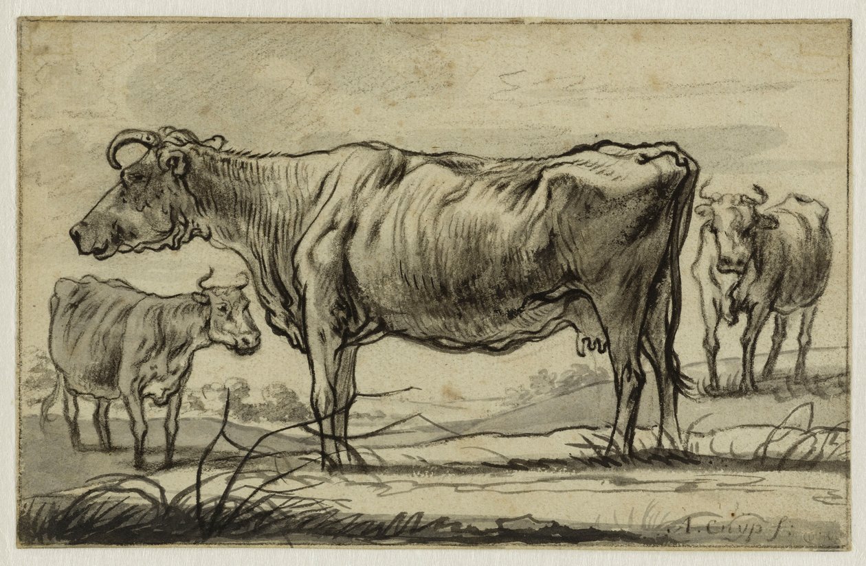 Tři krávy na pastvině (Lugt 16) od Aelbert Cuyp
