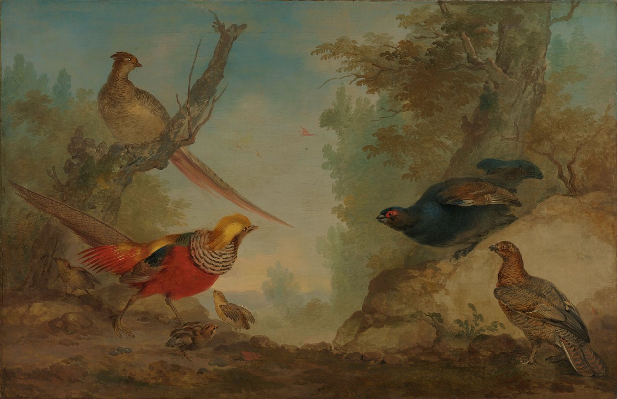  od Aert Schouman