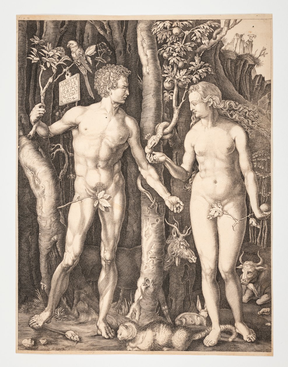 Adam a Eva v rajské zahradě - Albrecht Durer - 20-1932-109 od After Albrecht Dürer