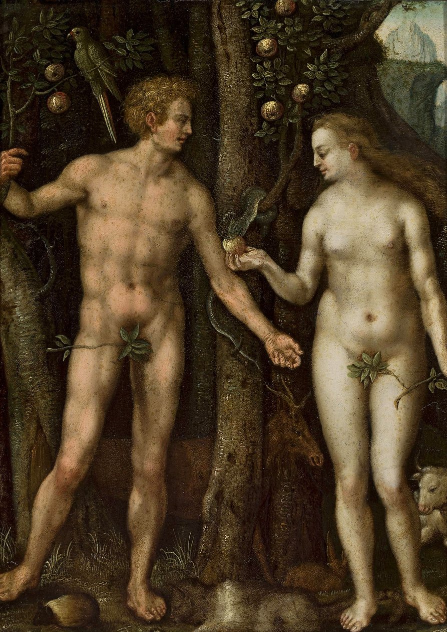 Polština:  Adam i Ewa Adam a Eva od After Albrecht Dürer