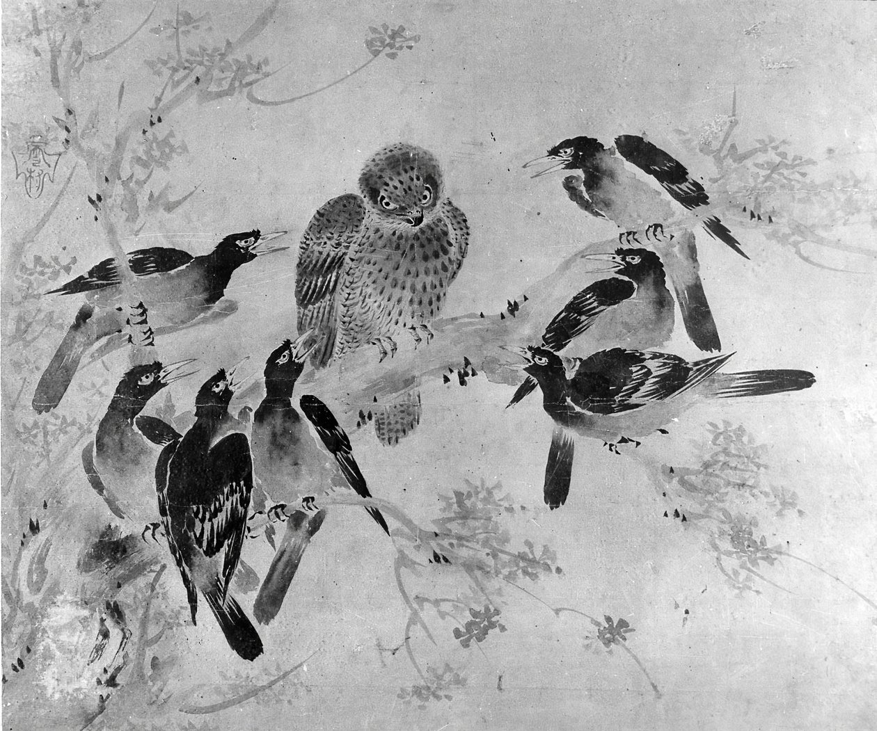 Mynah Birds Attacking an Owl, pravděpodobně 19. století. od after Sesson Shūkei