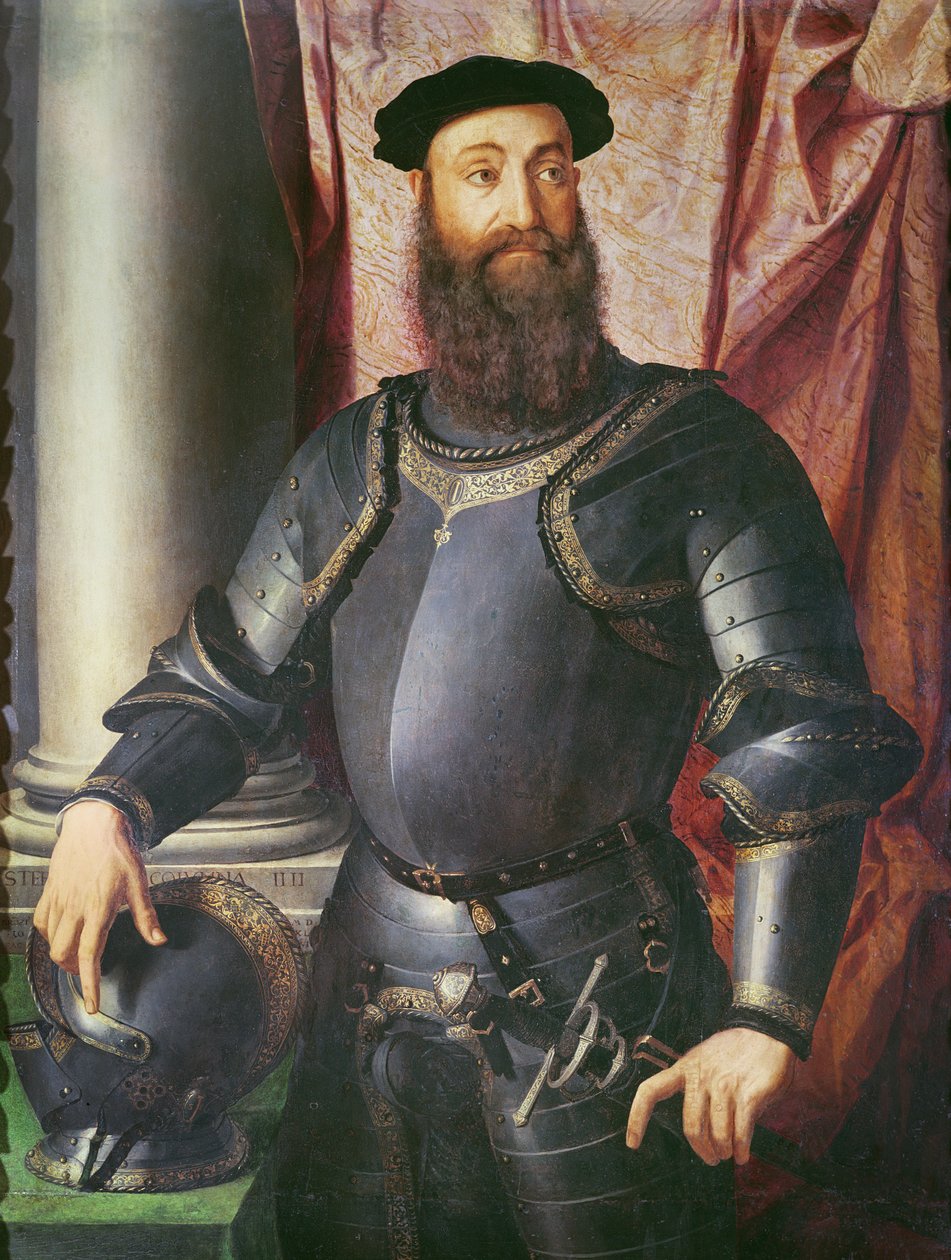 Portrét Stefana Colonny, generála Karla V., 1546 (tempera na dřevě) od Agnolo Bronzino