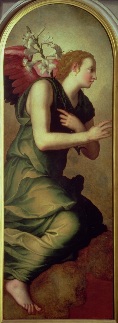 Archanděl Gabriel, levý panel Zvěstování, 1555 (viz také 82441) od Agnolo Bronzino