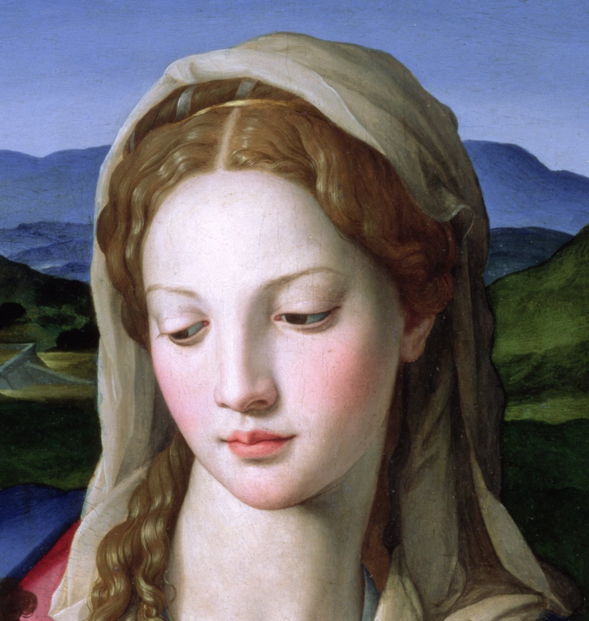 Svatá rodina se svatou Annou a nemluvnětem sv. Janem Křtitelem, cca 1550 olej na panelu detail 82824 od Agnolo Bronzino
