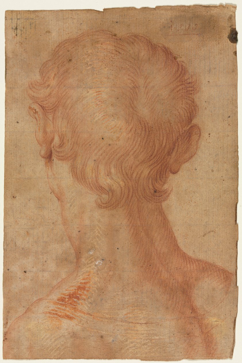 Männerkopf von hinten od Agnolo Bronzino